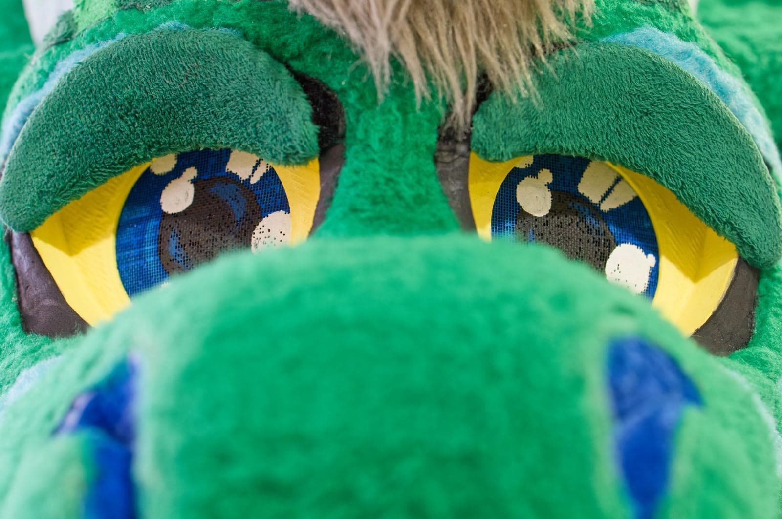 Banner image